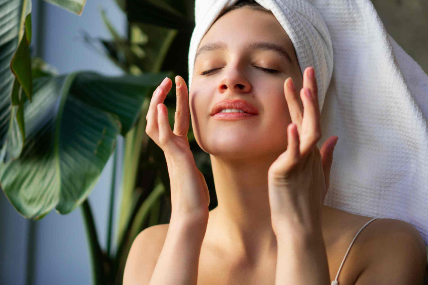 Face Care