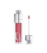 Addict 24H Hydration Plumping Gloss Lip Maximizer
