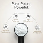 Whey Protein Isolate Dark Chocolate & Creatine Monohydrate Unflavored