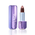 Pout Perfect High Definition Matte Lipstick (4.2g)