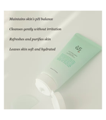 Green Plum Refreshing Cleanser (100ml)