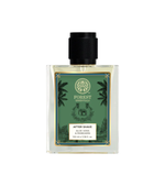 Splash Aloe Vera & Mandarin After Shave Spray