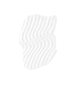 Tinted Eyebrow Gel (6ml)
