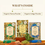 Organic Hair Color Kit
